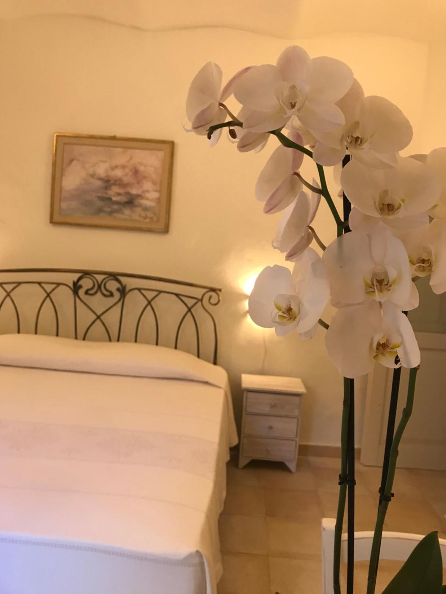 Domo Antiga Guest Rooms Sorso Exterior photo